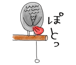 Mel African Grey Parrot sticker #3567367