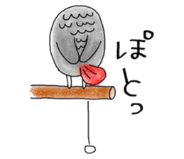 Mel African Grey Parrot sticker #3567367