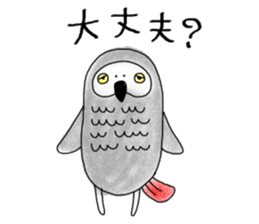 Mel African Grey Parrot sticker #3567368