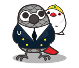 Miss Lovebird-Java&Grey Parrot sticker #3567530