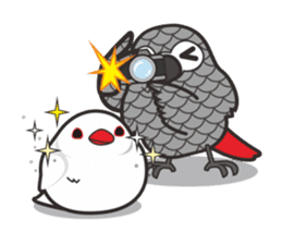 Miss Lovebird-Java&Grey Parrot sticker #3567534