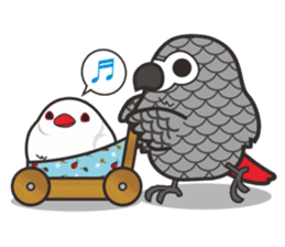 Miss Lovebird-Java&Grey Parrot sticker #3567544