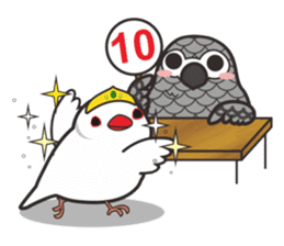 Miss Lovebird-Java&Grey Parrot sticker #3567548
