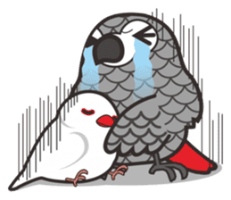 Miss Lovebird-Java&Grey Parrot sticker #3567561