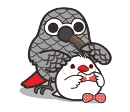 Miss Lovebird-Java&Grey Parrot sticker #3567565