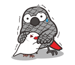 Miss Lovebird-Java&Grey Parrot sticker #3567569