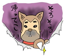 Djungarian2 sticker #3577121