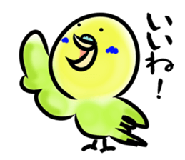 Parakeet with 365 days sticker #3577490