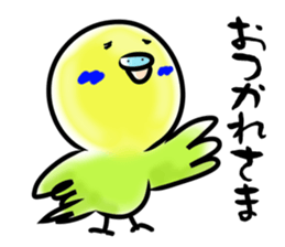 Parakeet with 365 days sticker #3577491