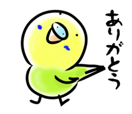 Parakeet with 365 days sticker #3577492