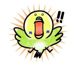 Parakeet with 365 days sticker #3577495