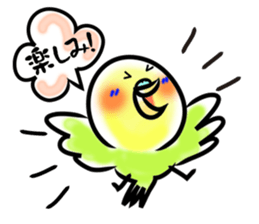 Parakeet with 365 days sticker #3577496