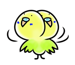 Parakeet with 365 days sticker #3577501