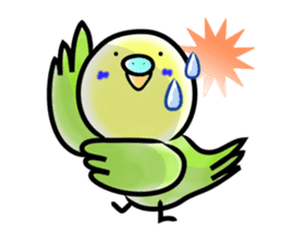 Parakeet with 365 days sticker #3577502