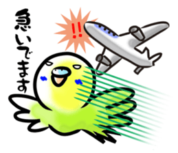 Parakeet with 365 days sticker #3577505