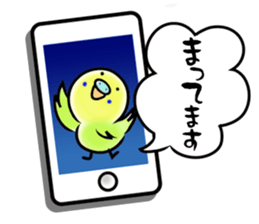 Parakeet with 365 days sticker #3577506