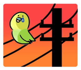 Parakeet with 365 days sticker #3577509