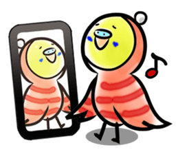 Parakeet with 365 days sticker #3577517