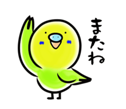 Parakeet with 365 days sticker #3577518