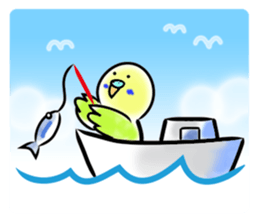 Parakeet with 365 days sticker #3577520