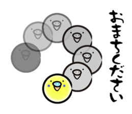 Parakeet with 365 days sticker #3577524