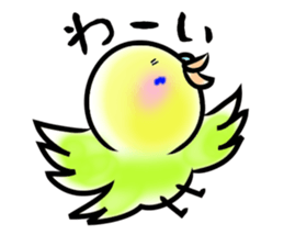 Parakeet with 365 days sticker #3577529