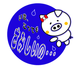 The White Pig Which has ribbon sticker #3578856