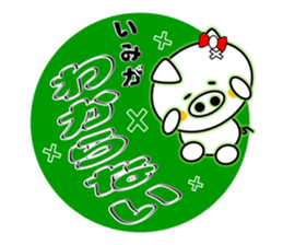 The White Pig Which has ribbon sticker #3578865