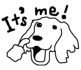 black and white dog model Dachshund. sticker #3579782