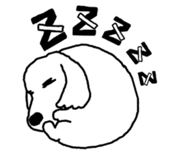 black and white dog model Dachshund. sticker #3579787