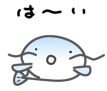 Express your feelings in a funny catfish sticker #3581170