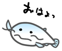 Express your feelings in a funny catfish sticker #3581190