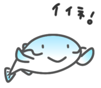 Express your feelings in a funny catfish sticker #3581194