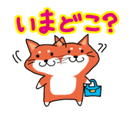 The dog care of your everyday2 sticker #3582693