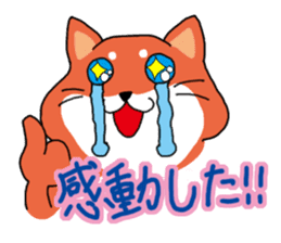 The dog care of your everyday2 sticker #3582715