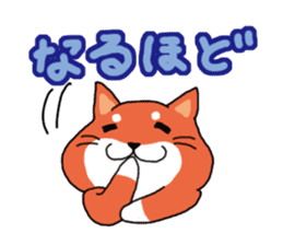 The dog care of your everyday2 sticker #3582720