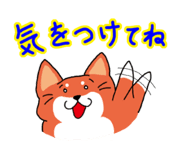 The dog care of your everyday2 sticker #3582729