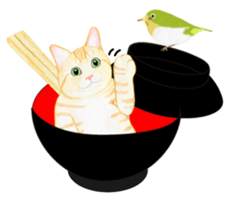 Brown tabby & White-eye sticker #3583348