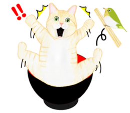 Brown tabby & White-eye sticker #3583349