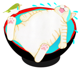 Brown tabby & White-eye sticker #3583351