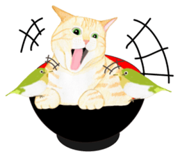 Brown tabby & White-eye sticker #3583352