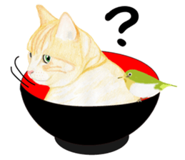 Brown tabby & White-eye sticker #3583353