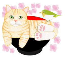 Brown tabby & White-eye sticker #3583354