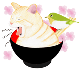 Brown tabby & White-eye sticker #3583355