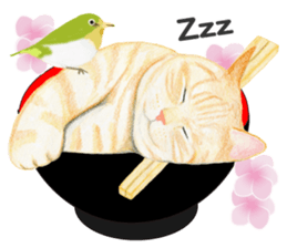 Brown tabby & White-eye sticker #3583356