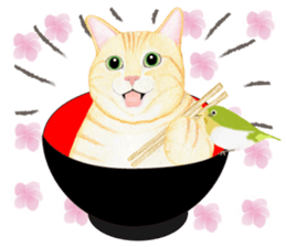 Brown tabby & White-eye sticker #3583357