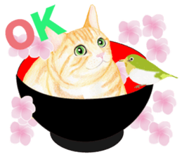 Brown tabby & White-eye sticker #3583358