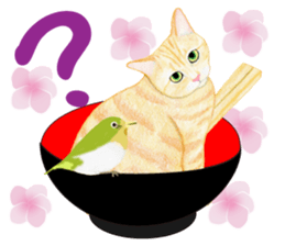 Brown tabby & White-eye sticker #3583359