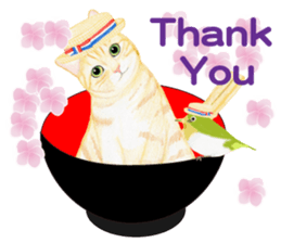 Brown tabby & White-eye sticker #3583360