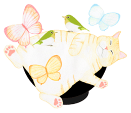 Brown tabby & White-eye sticker #3583362